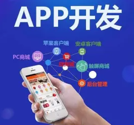 app开发 专业小程序开发,APP定制,物联网小程序, app开发 专业小程序开发,APP定制,物联网小程序,